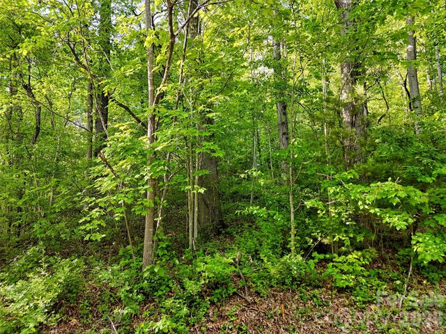 00 Junaluska Oaks Drive, Waynesville, NC 28786