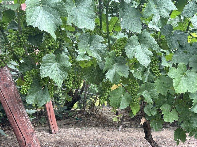 7695 Sw BRENTWOOD St, Portland, OR 97225