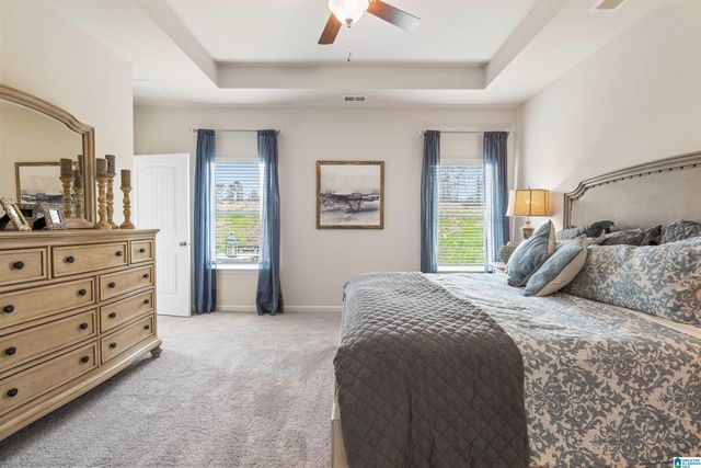 591 PINE VALLEY TRAIL, Columbiana, AL 35051