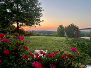 3953 LOGAN MARTIN DAM ROAD E, Cropwell, AL 35054