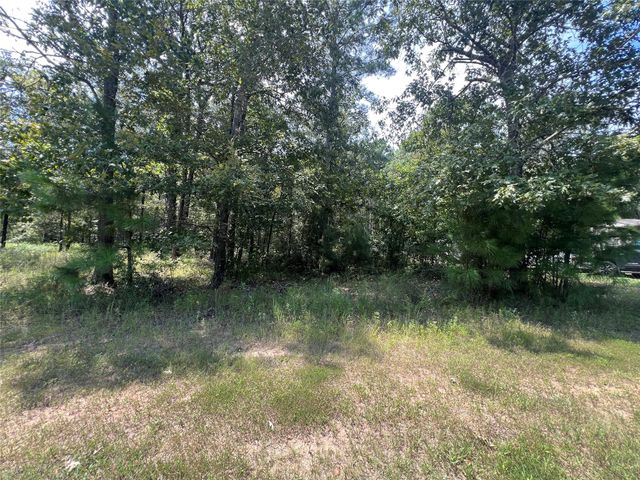 TBD Hidden Oaks Drive, Point Blank, TX 77364
