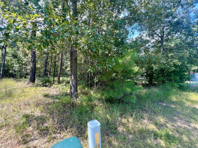 TBD Hidden Oaks Drive, Point Blank, TX 77364