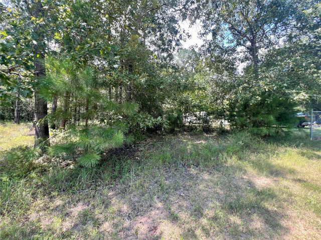 TBD Hidden Oaks Drive, Point Blank, TX 77364