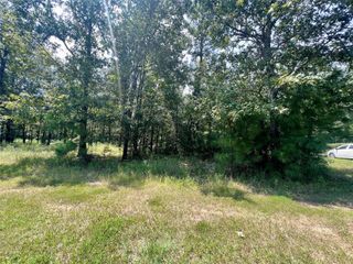 TBD Hidden Oaks Drive, Point Blank, TX 77364
