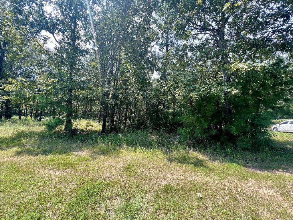 TBD Hidden Oaks Drive, Point Blank, TX 77364