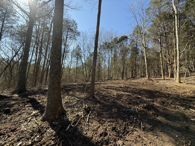 0 McClanahan Rd, Hartsville, TN 37074