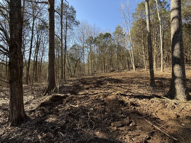 0 McClanahan Rd, Hartsville, TN 37074