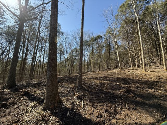 0 McClanahan Rd, Hartsville, TN 37074
