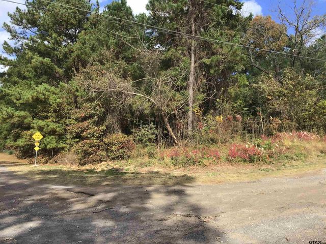 20317 Holly Hills Dr, Larue, TX 75770