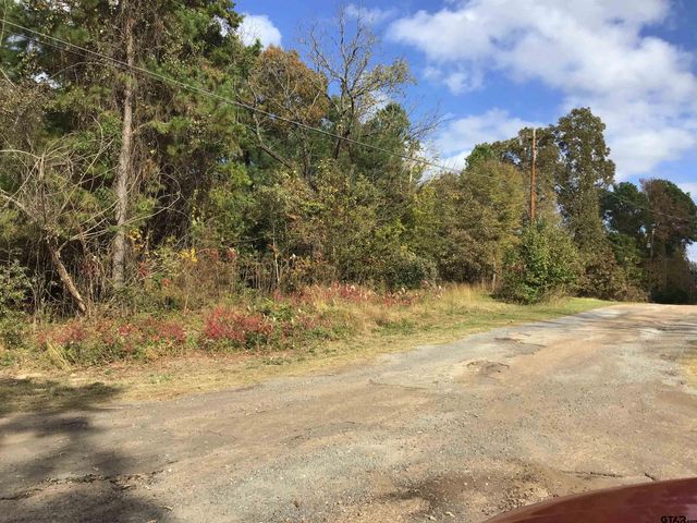 20317 Holly Hills Dr, Larue, TX 75770