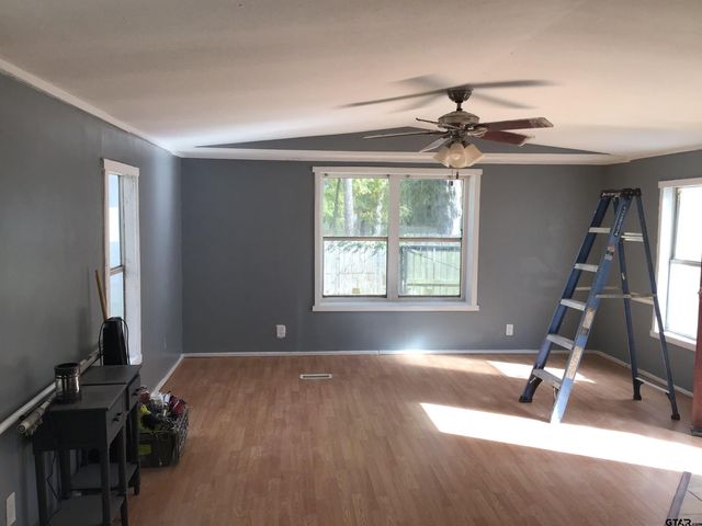 20317 Holly Hills Dr, Larue, TX 75770