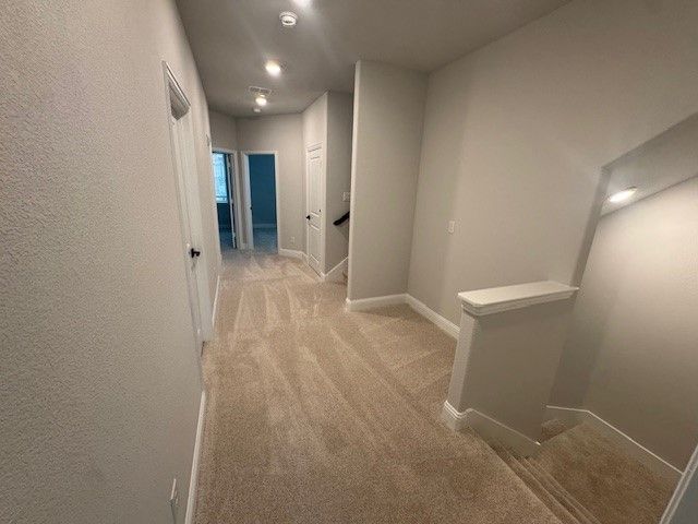 397 Blackthorne Drive, Plano, TX 75074