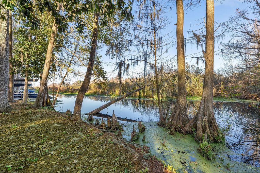 Image 32 of property listing at 3411 W CYPRESS DRIVE, Dunnellon, FL 34433