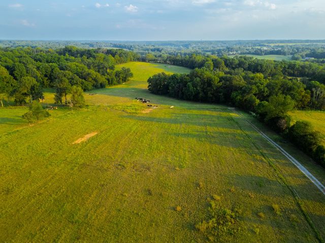 1074 Pair Six Dr, Springfield, TN 37172