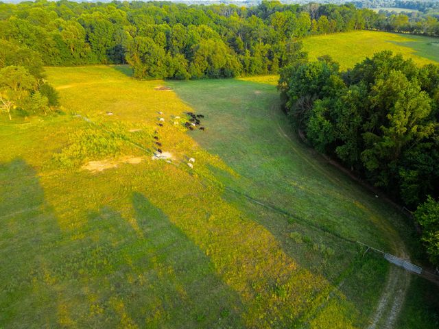 1074 Pair Six Dr, Springfield, TN 37172