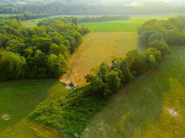 1074 Pair Six Dr, Springfield, TN 37172