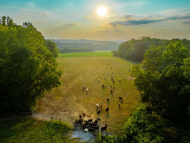 1074 Pair Six Dr, Springfield, TN 37172