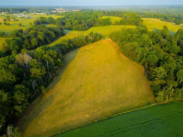 1074 Pair Six Dr, Springfield, TN 37172