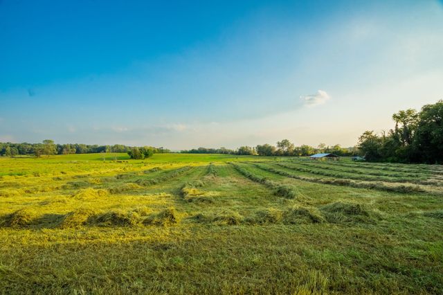 1074 Pair Six Dr, Springfield, TN 37172