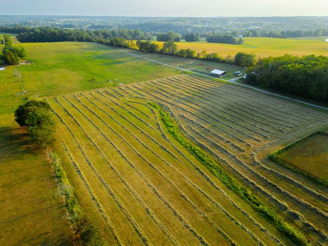 1074 Pair Six Dr, Springfield, TN 37172