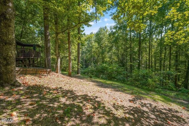 1103 Villa Lane, Gatlinburg, TN 37738
