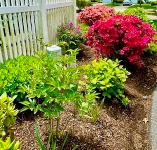 13 Hollyhock Knoll Ct 13, Bourne, MA 02532