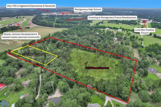 10.548 Acres Womack Cemetery Road, Montgomery, TX 77316
