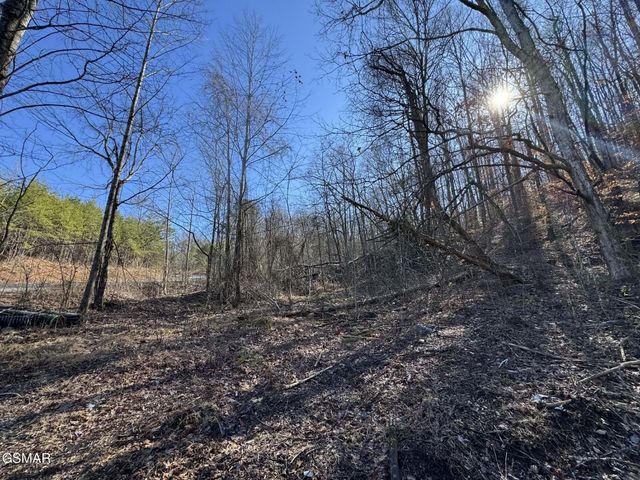 27 Blue Springs Way, Newport, TN 37821