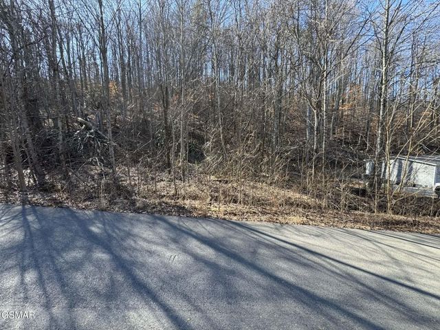 27 Blue Springs Way, Newport, TN 37821