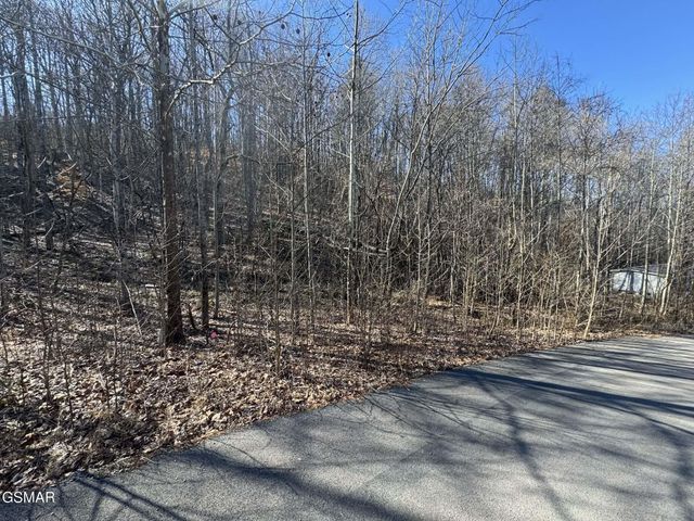 27 Blue Springs Way, Newport, TN 37821