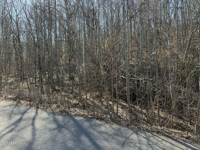 27 Blue Springs Way, Newport, TN 37821