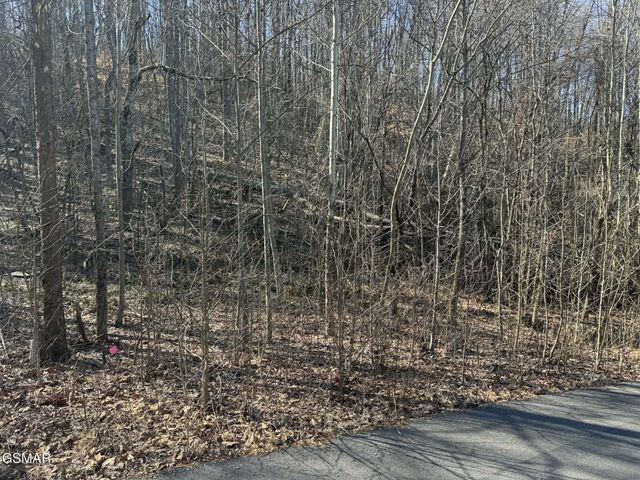 27 Blue Springs Way, Newport, TN 37821