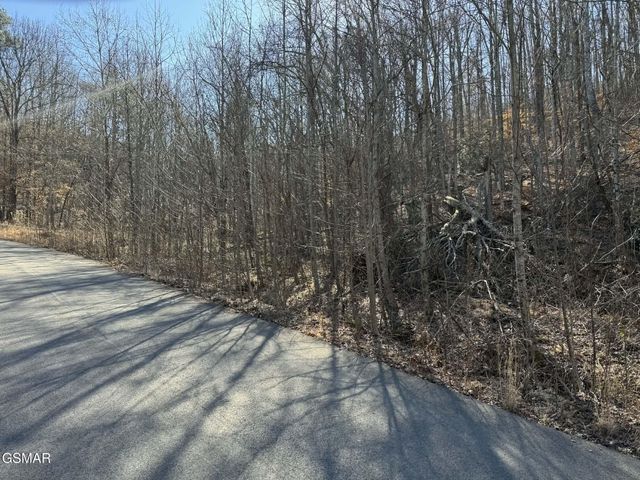 27 Blue Springs Way, Newport, TN 37821