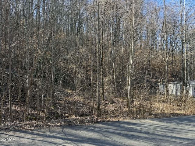 27 Blue Springs Way, Newport, TN 37821