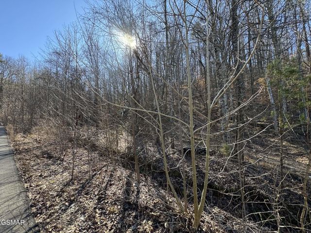 27 Blue Springs Way, Newport, TN 37821