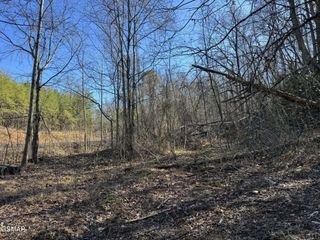 27 Blue Springs Way, Newport, TN 37821