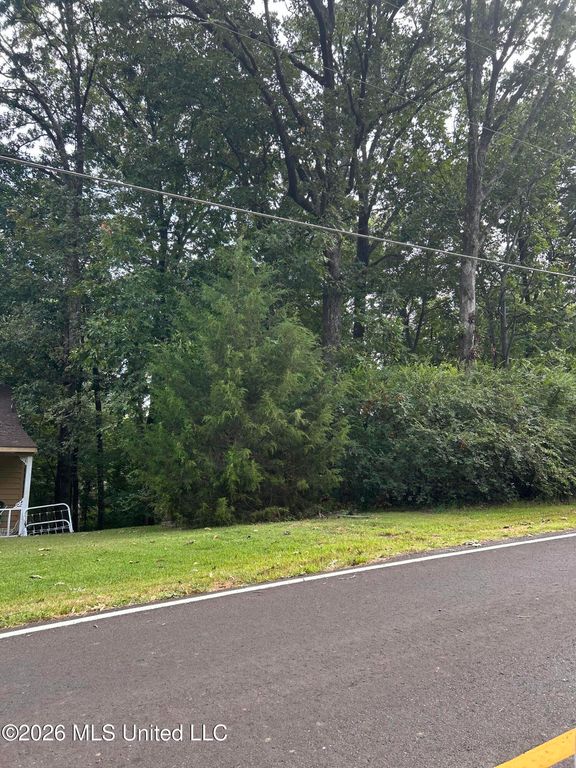 776 Black Hawk Drive, Hernando, MS 38632 — photo 4