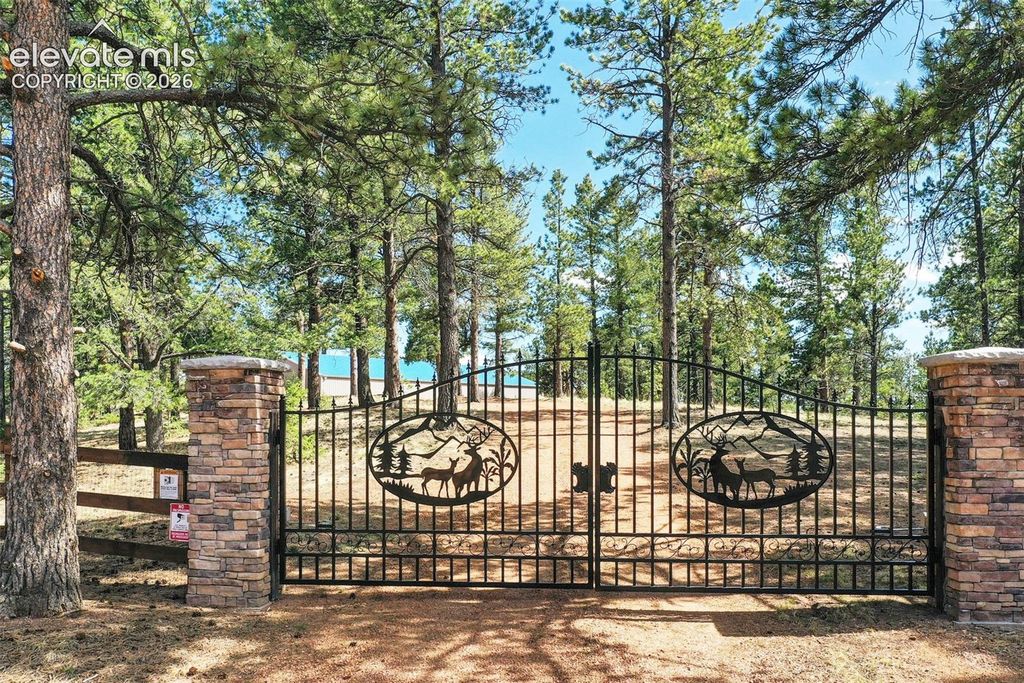 2754 County Road 421, Florissant, CO 80816 — photo 2