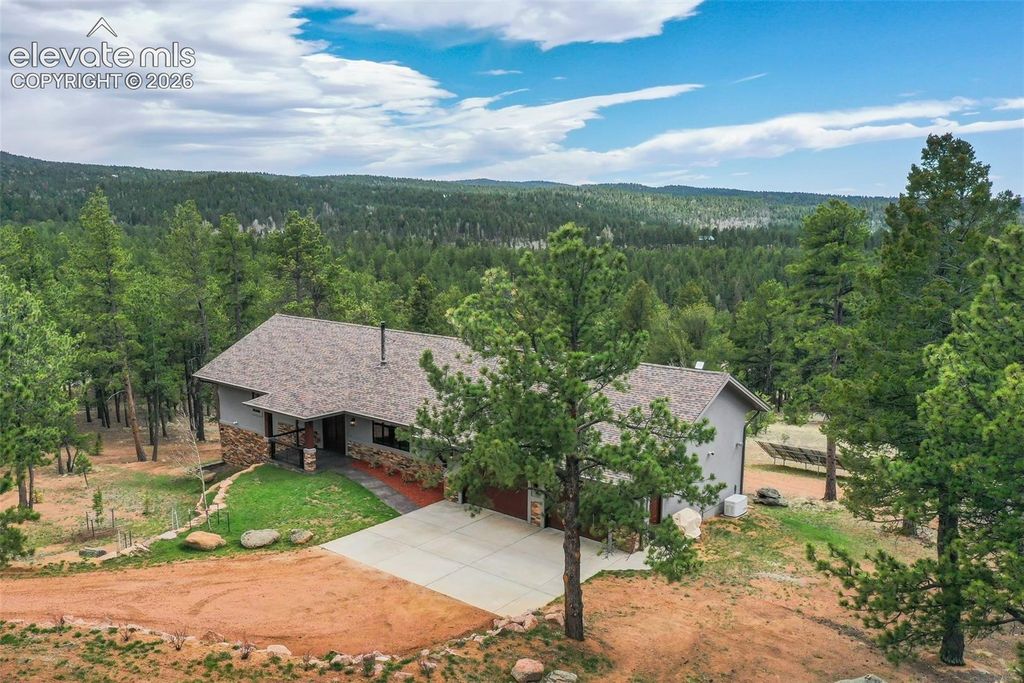 2754 County Road 421, Florissant, CO 80816 — photo 5