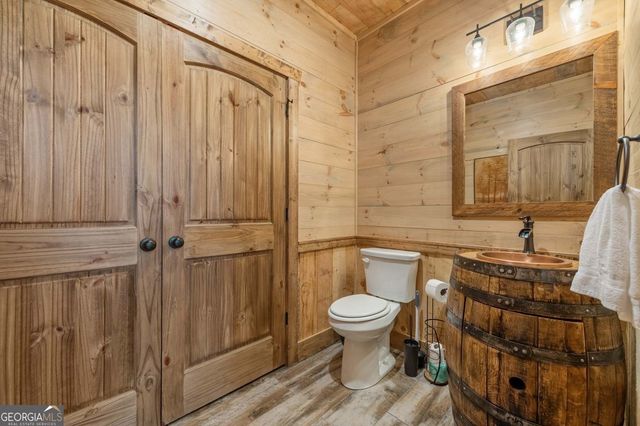 467 Skylight Drive, Blue Ridge, GA 30513