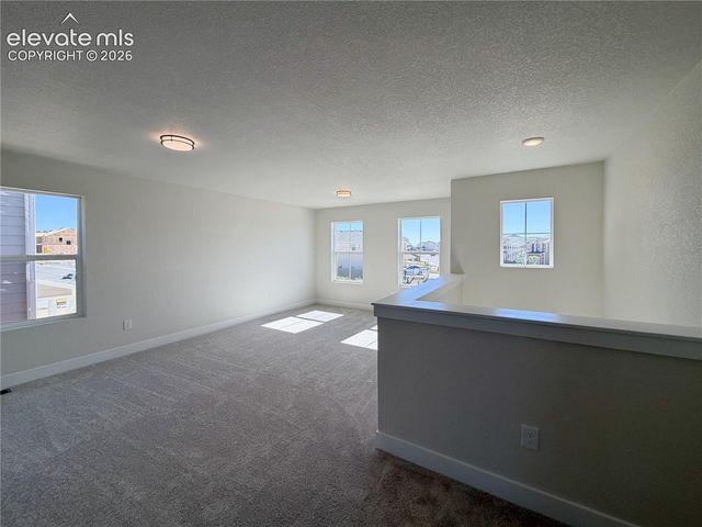 8206 Lemon Grass Road, Peyton, CO 80831