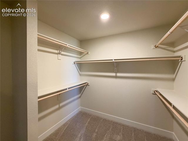 8206 Lemon Grass Road, Peyton, CO 80831