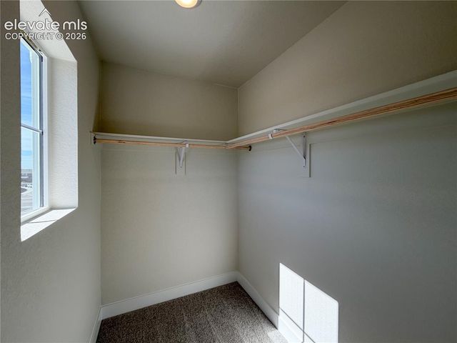 8206 Lemon Grass Road, Peyton, CO 80831