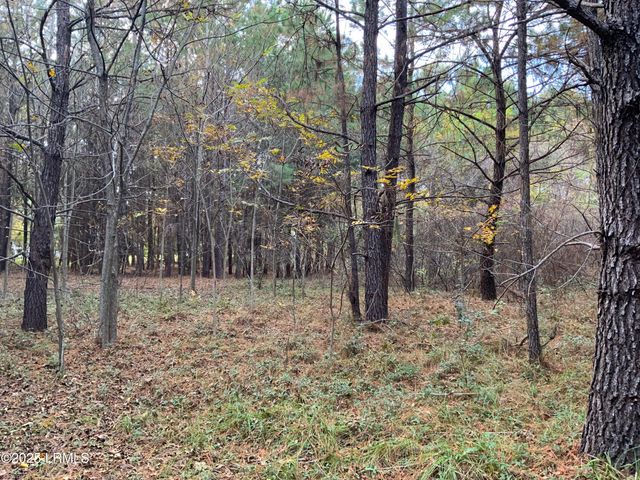 Tbd Pearl Harbor Lane, St. Helena Island, SC 29920