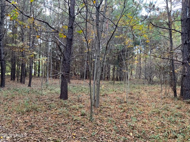 Tbd Pearl Harbor Lane, St. Helena Island, SC 29920