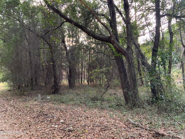 Tbd Pearl Harbor Lane, St. Helena Island, SC 29920