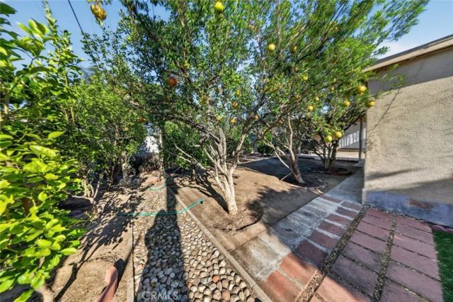 11407 Delano, North Hollywood, CA 91606