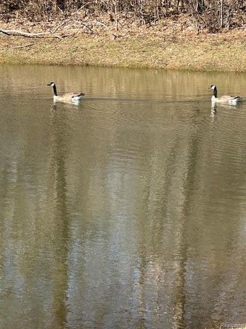 56075 Chesapeake Circle 242, Utica, MI 48316