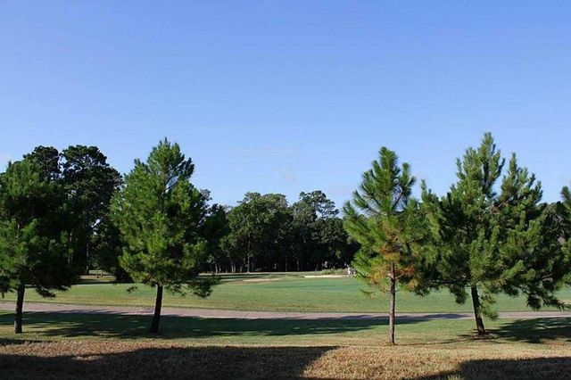 16020 Fountainview 2, Montgomery, TX 77356