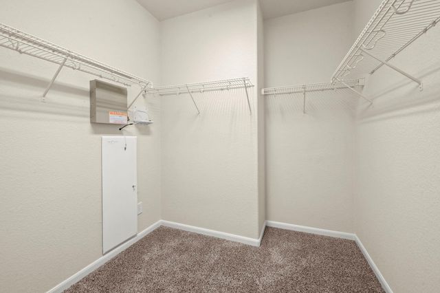 6 Bushell Mill Place, The Woodlands, TX 77382